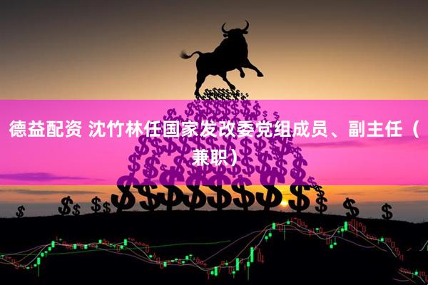 德益配资 沈竹林任国家发改委党组成员、副主任（兼职）